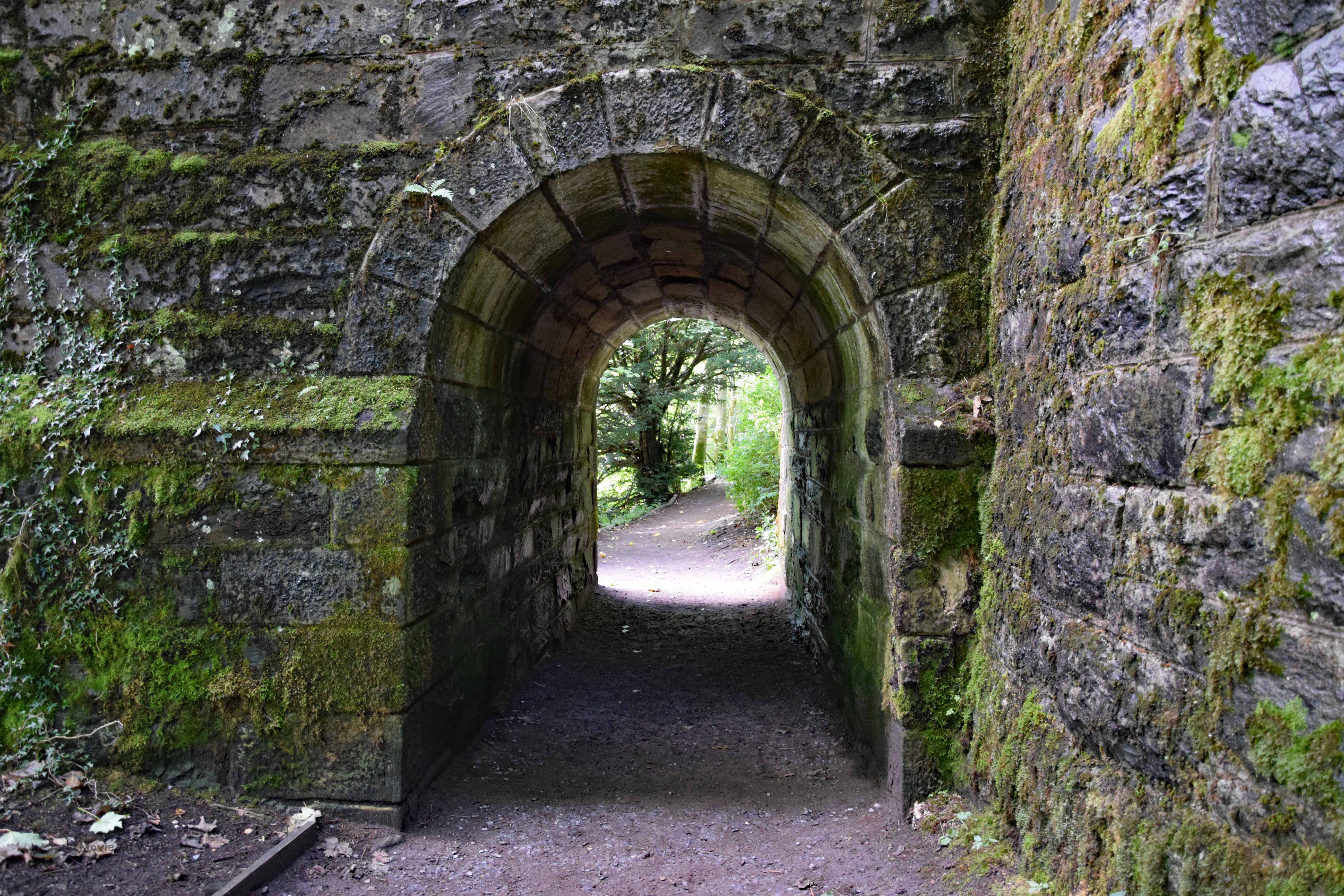 03_08_18_Dunkeld Hermitage (1)