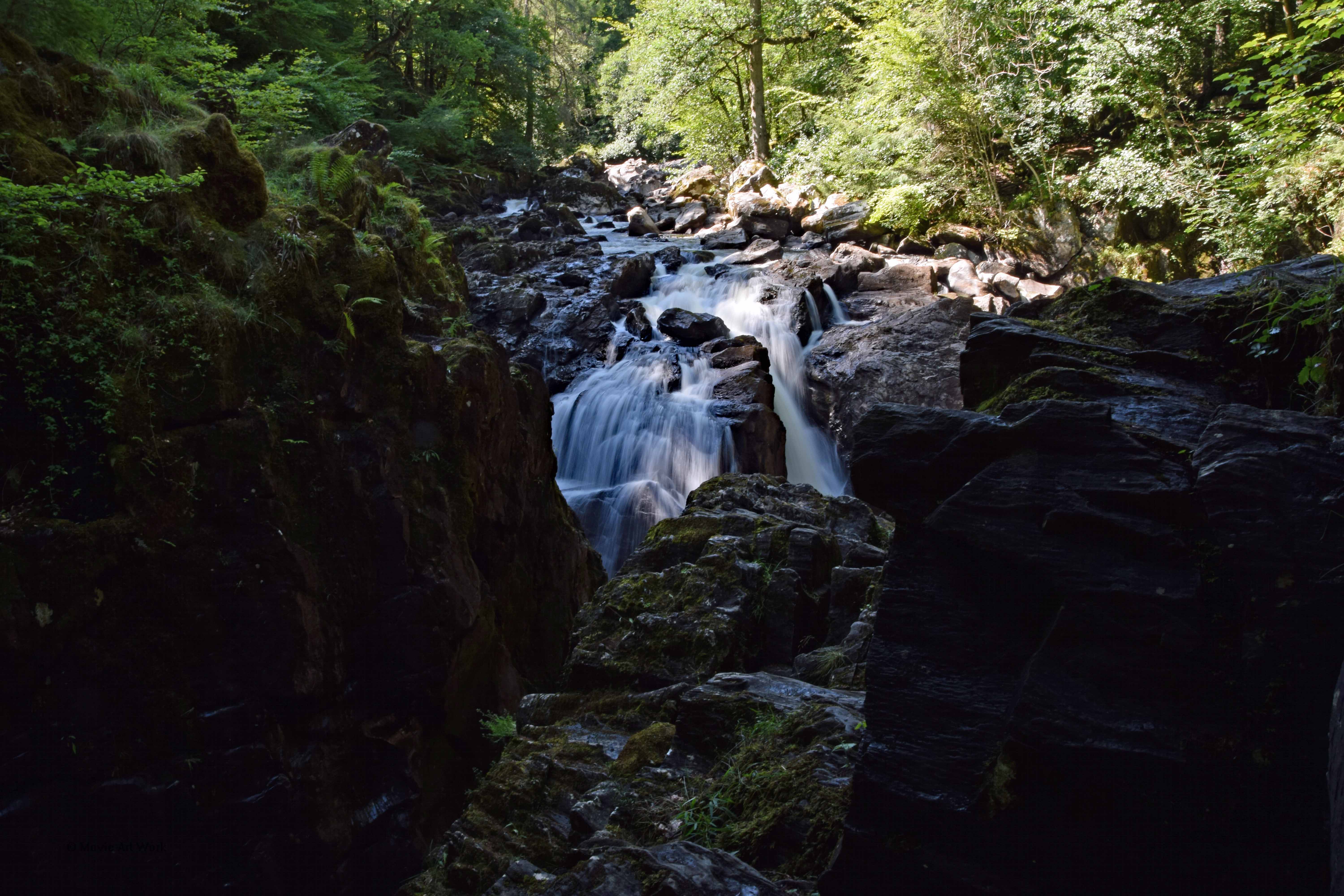 03_08_18_Dunkeld Hermitage (41)