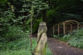 23_7_18_Alva_Glen_Ochilhills (2)