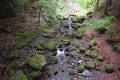 23_7_18_Alva_Glen_Ochilhills (3)