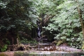23_7_18_Alva_Glen_Ochilhills (6)