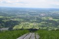 Blomberg-9