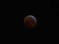 Blutmond 2019