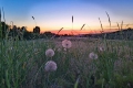 Boise_E10