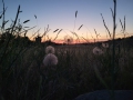 Boise_E14