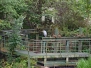 Bridge of Allan