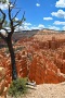 Bryce-Canyon-Nationalpark_D-100