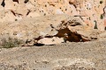 Bryce-Canyon-Nationalpark_D-14