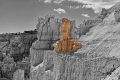 Bryce-Canyon-Nationalpark_D-27_1