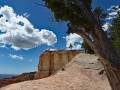 Bryce-Canyon-Nationalpark_D-35