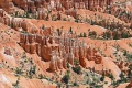 Bryce-Canyon-Nationalpark_D-47