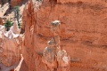 Bryce-Canyon-Nationalpark_D-51