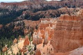 Bryce-Canyon-Nationalpark_D-57