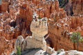 Bryce-Canyon-Nationalpark_D-6