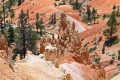 Bryce-Canyon-Nationalpark_D-68