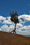 Bryce-Canyon-Nationalpark_D-69