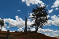 Bryce-Canyon-Nationalpark_D-70