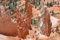 Bryce-Canyon-Nationalpark_D-77