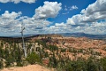 Bryce-Canyon-Nationalpark_D-80