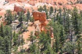 Bryce-Canyon-Nationalpark_D-86