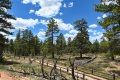 Bryce-Canyon-Nationalpark_D-87