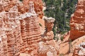 Bryce-Canyon-Nationalpark_D-92