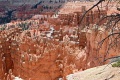 Bryce-Canyon-Nationalpark_D-93