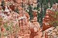 Bryce-Canyon-Nationalpark_D-94