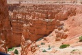 Bryce-Canyon-Nationalpark_D-98
