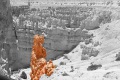 Bryce-Canyon-Nationalpark_D-98SW