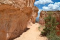 Bryce-Canyon-Nationalpark_D-99
