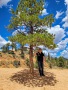 Bryce-Canyon-Nationalpark_E-105