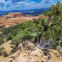 Bryce-Canyon-Nationalpark_E-106