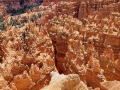 Bryce-Canyon-Nationalpark_E-111