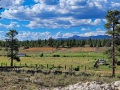 Bryce-Canyon-Nationalpark_E-42