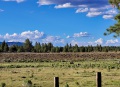 Bryce-Canyon-Nationalpark_E-49