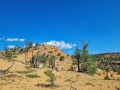Bryce-Canyon-Nationalpark_E-64