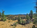 Bryce-Canyon-Nationalpark_E-65