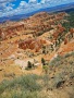 Bryce-Canyon-Nationalpark_E-89