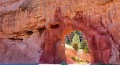 Bryce-Canyon-Nationalpark_S-26