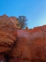 Bryce-Canyon-Nationalpark_S-29