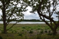 Dybesoe-15_07_19-4