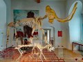 Jura Museum