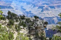 Grand-Canyon-Nationalpark_D-22