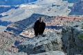 Grand-Canyon-Nationalpark_D-25