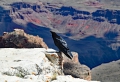 Grand-Canyon-Nationalpark_D-29
