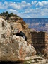 Grand-Canyon-Nationalpark_E-114