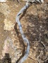 Grand-Canyon-Nationalpark_E-122