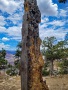 Grand-Canyon-Nationalpark_E-131
