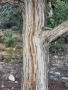 Grand-Canyon-Nationalpark_E-200